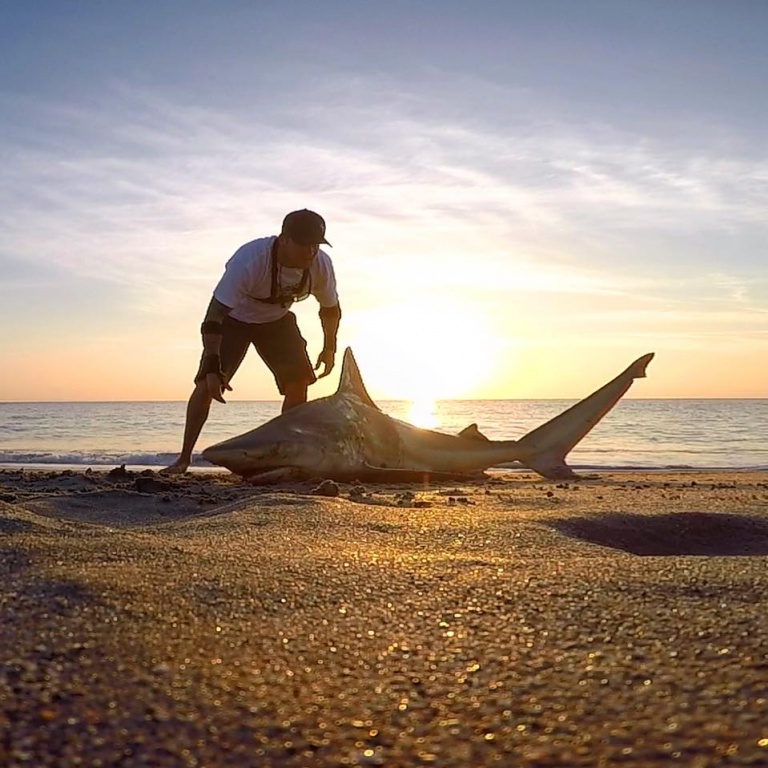 Dennis Verreet, pêche au requin du bord