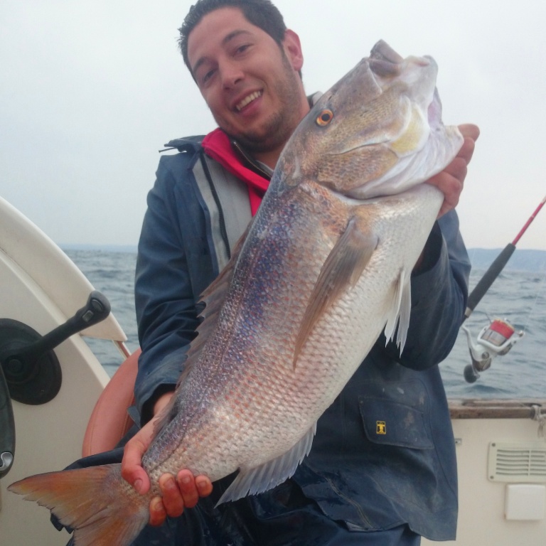 Un énorme denti de plus de 9kg pêché en méditérrannée