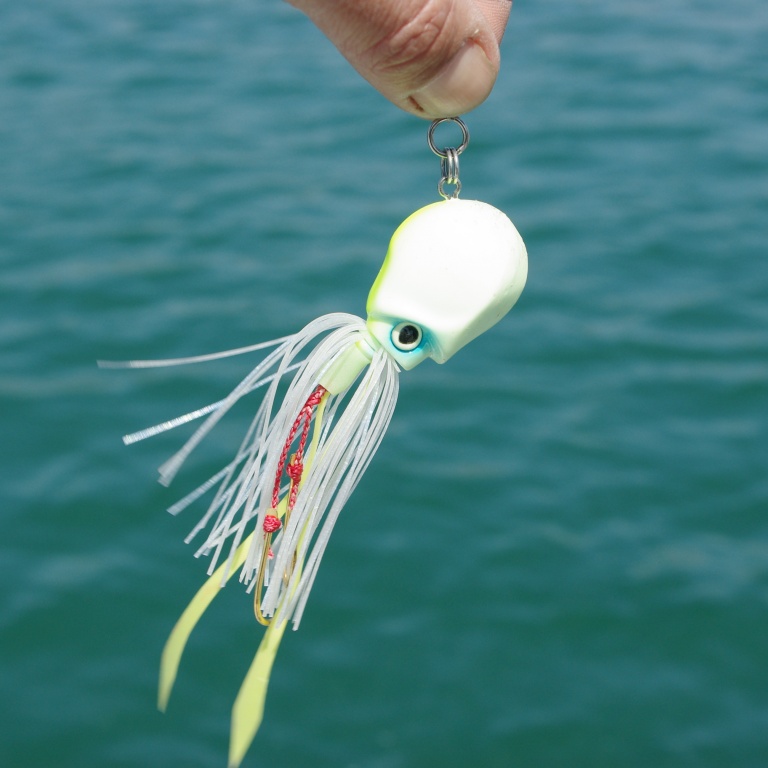 De petits assist équipent les madai jigs De petits assist équipent les madai jigs