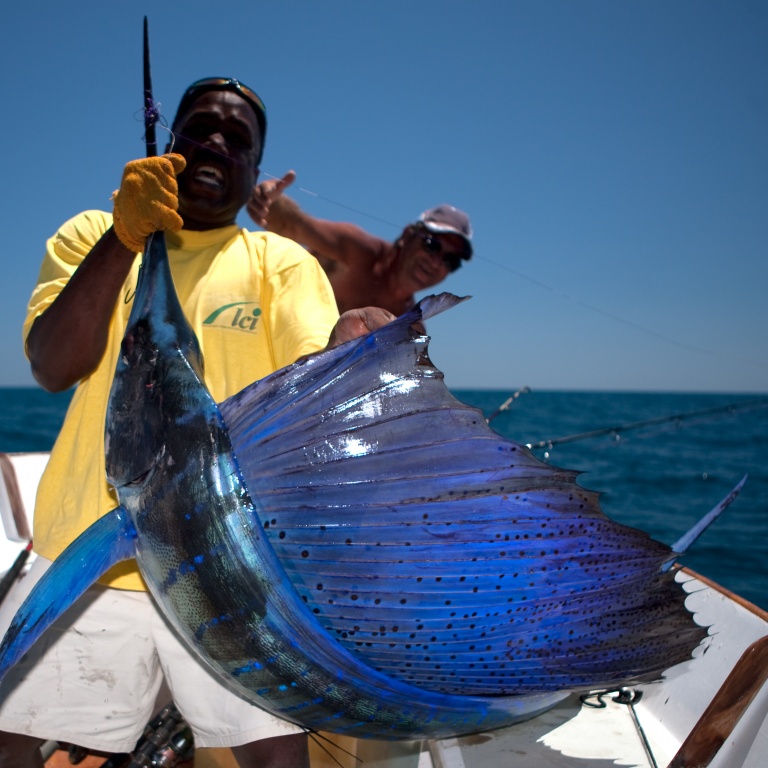 Un poisson trophée !