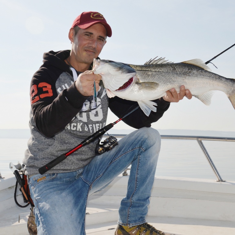 Lors de notre premier essai, la Tournament SW AGS 702 MH nous a permis de sortir de nombreux bars. Ainsi de ce spécimen de 3,5 kg pris au Samouraï jig Daiwa 20 g avec un bas de ligne en…23/100