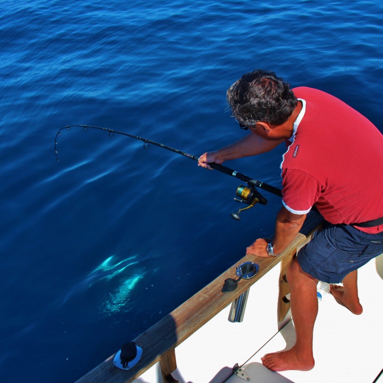 Pêche au thon avec Spinfisher 6500