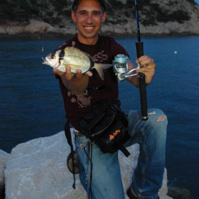 Le sar est un poisson courament touché en rockfishing Le sar est un poisson courament touché en rockfishing