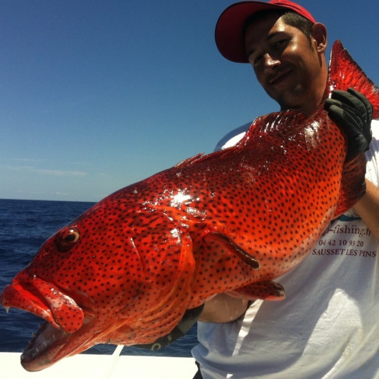 Plombs de pêche pour le - Surfcasting en Algérie