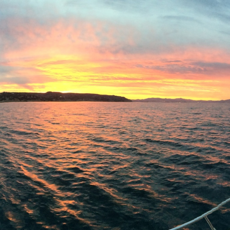 Un matin à la pêche au calamar !