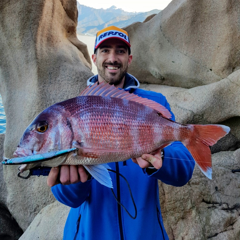 Prise extrêmement rare au jerkbait du bord, cet énorme pagre touché au Nemesi 180 par Clément montre bien l’impressionnante efficacité de ce leurre !