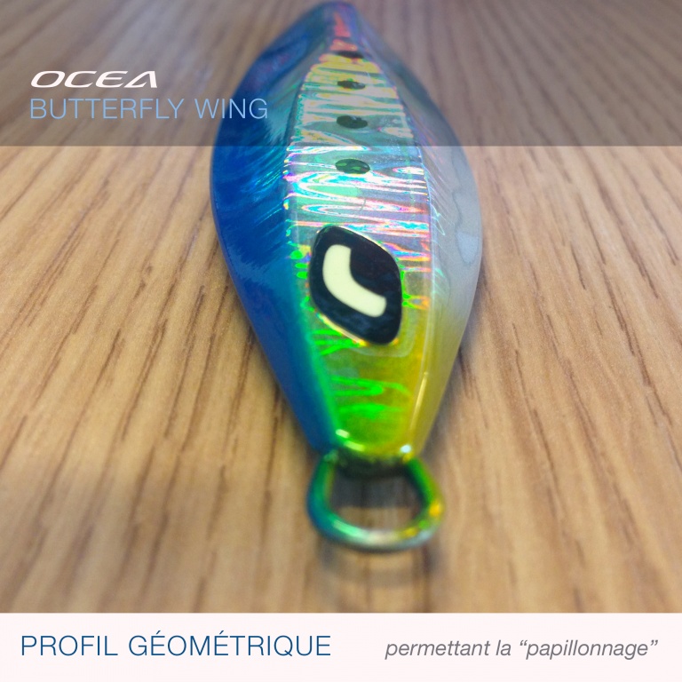 Un profil géométrique qui transfère le centre de gravité sur l'arrière du leurre, et permet une nage papillonnante Un profil géométrique qui transfère le centre de gravité sur l'arrière du leurre, et permet une nage papillonnante