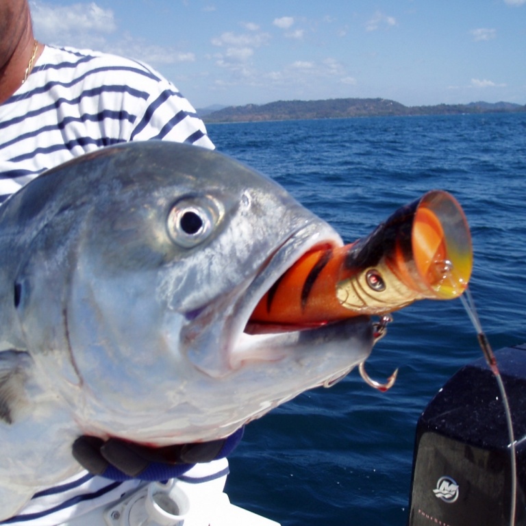 Pêche au slasher pooper sebile Pêche au slasher pooper sebile