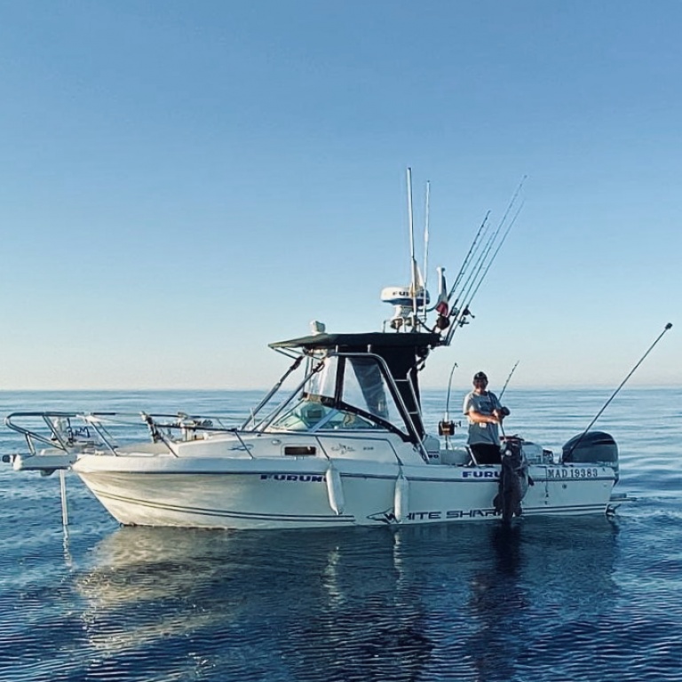 Pêche profonde d'un cernier au moteur Minn Kota