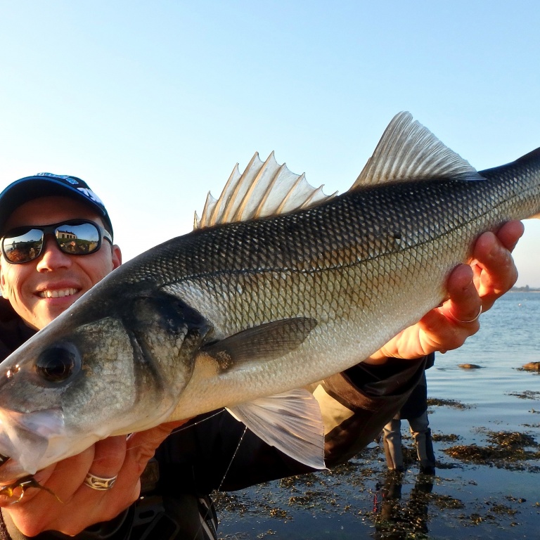 Superbe bar (loup de mer) au Zara Puppy Spook