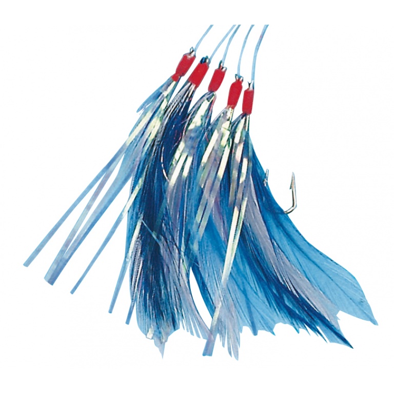 Plumes de mer filaments bleues