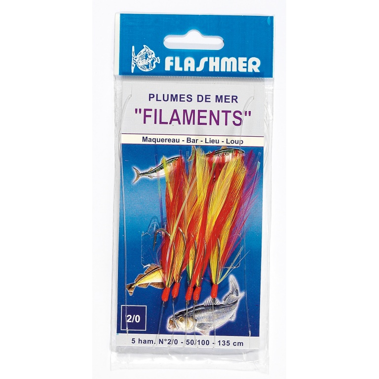 Plumes de mer filaments