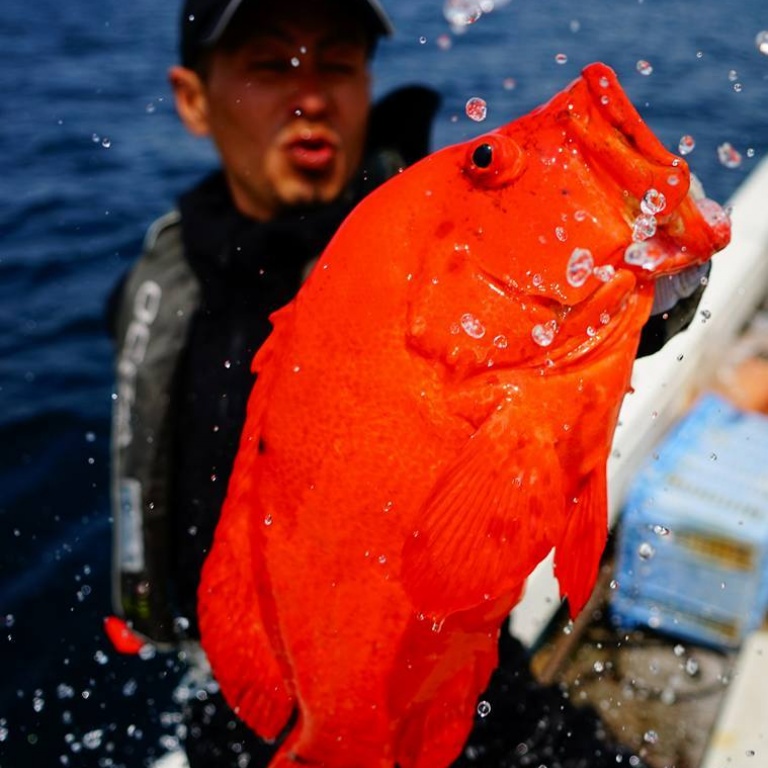 Les japonais sont férus de pêche !