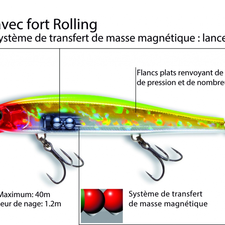 Caractéristiques du Minnow Flat Caractéristiques du Minnow Flat
