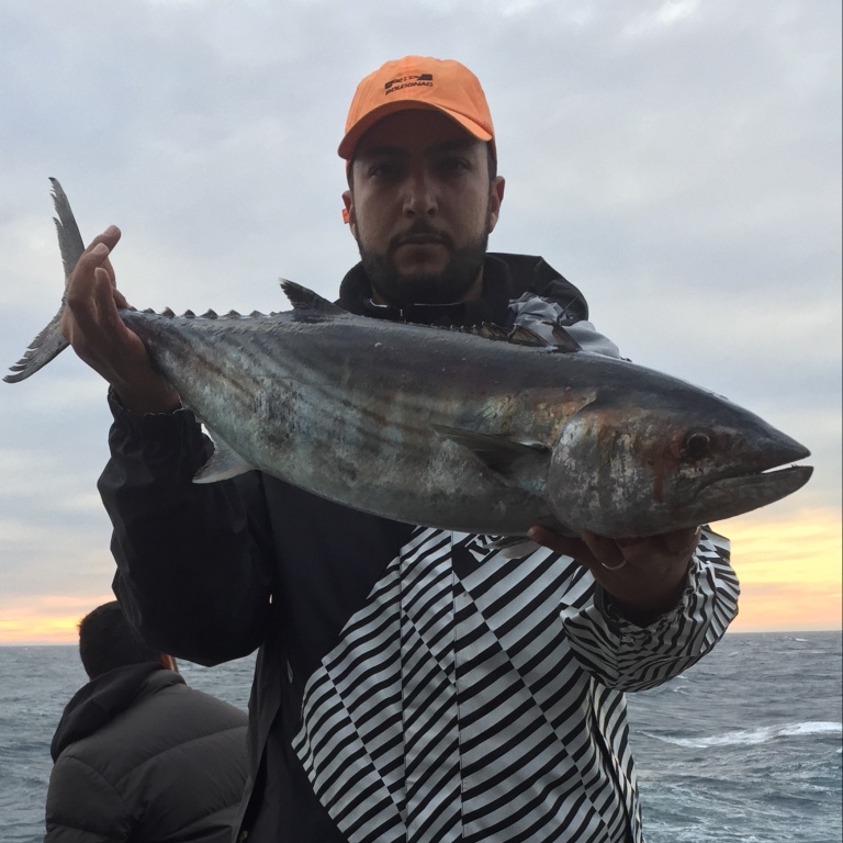 En shore jigging, il n'est pas rare de multiplier les prises de pélamides!