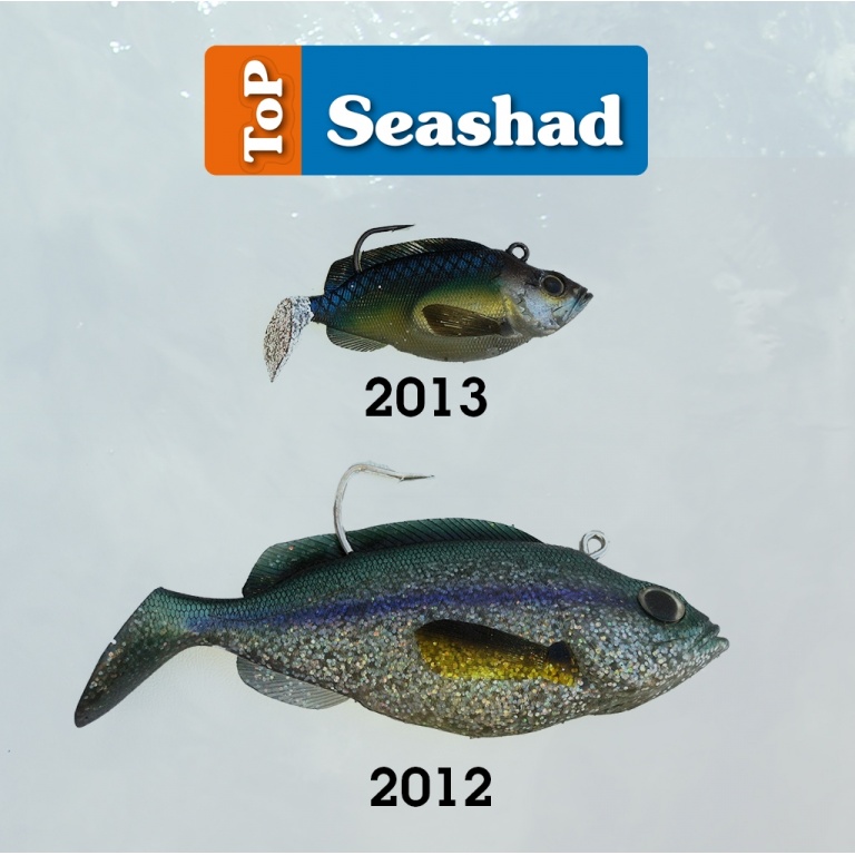 Top Sea Shad 2013