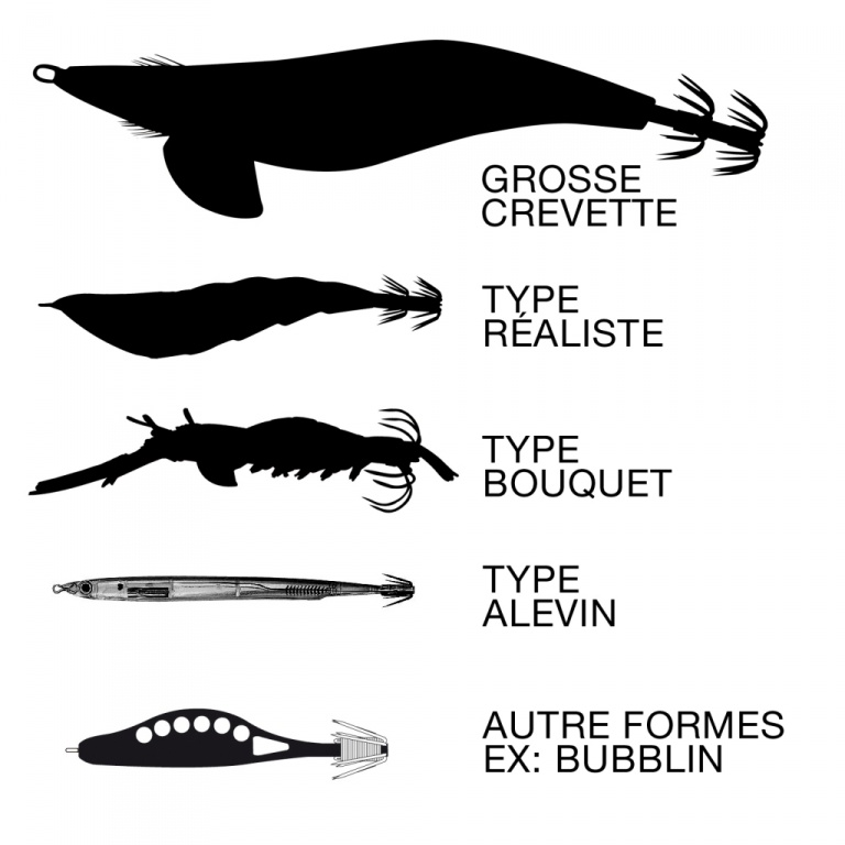 les différents types de formes 