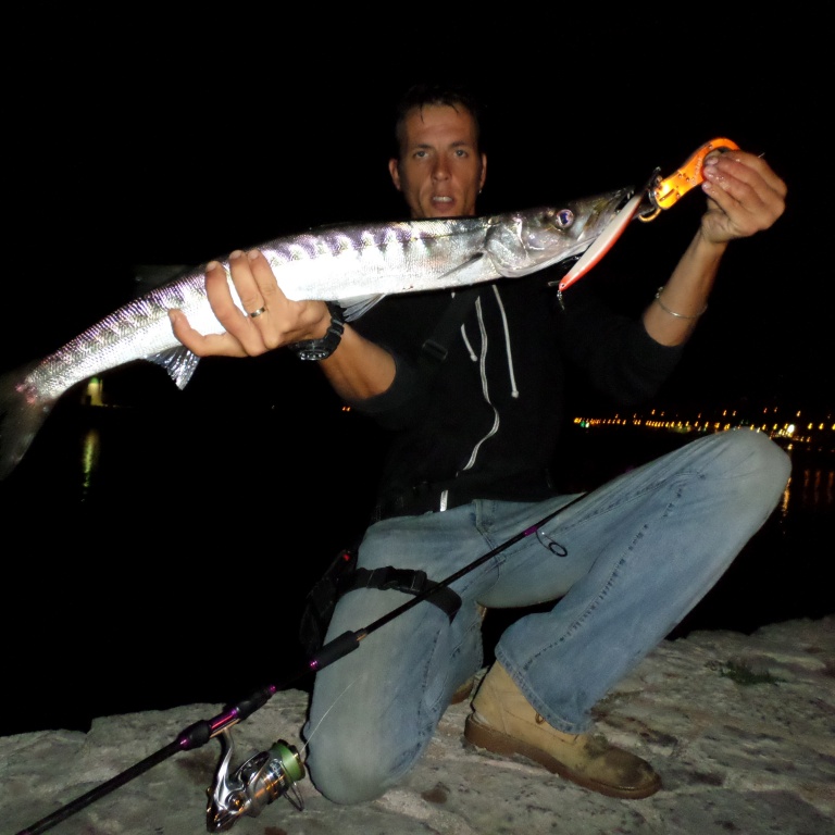 Une fish grip est recommandee pour manipuler un barracuda