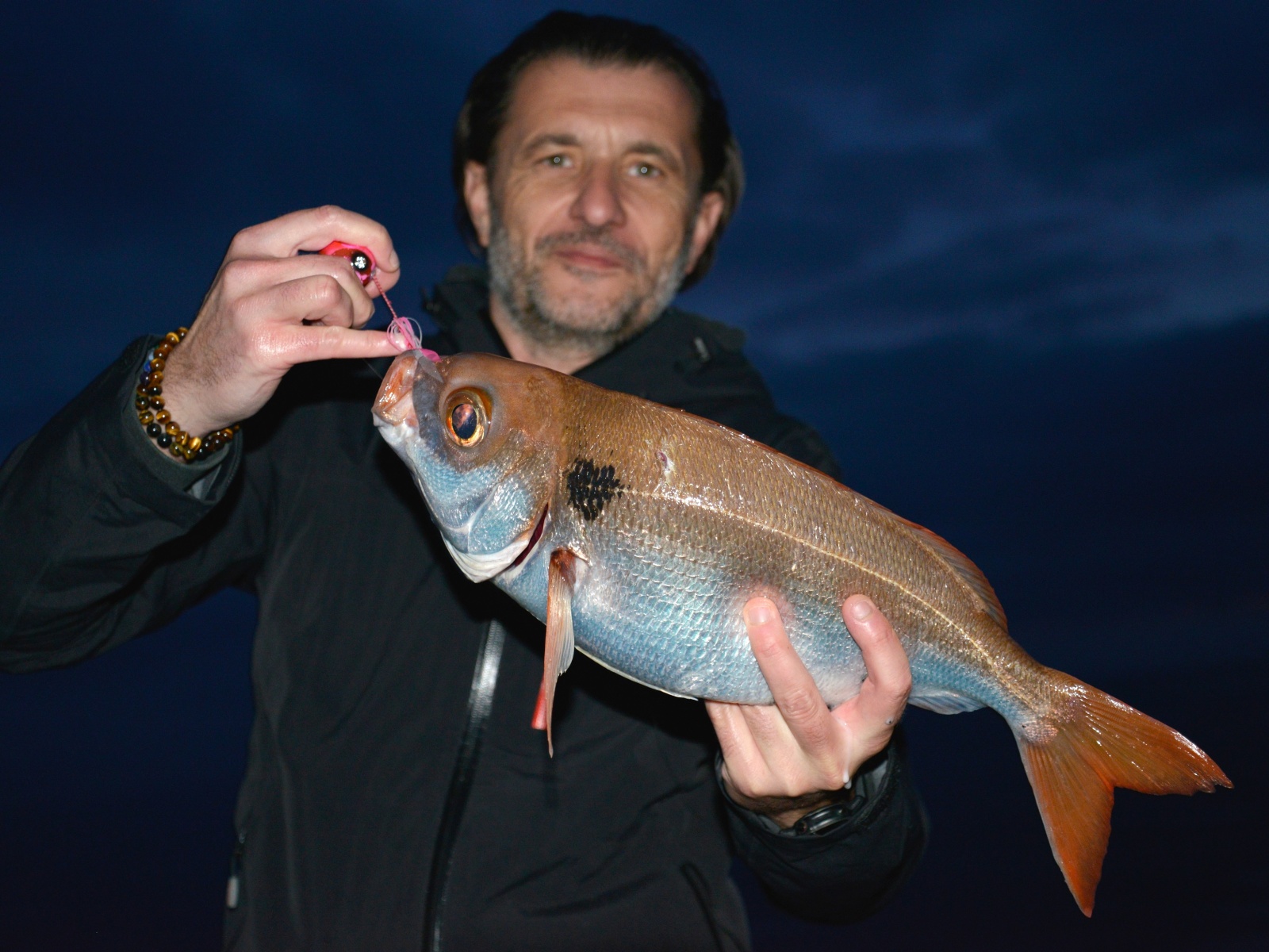 Pouvant atteindre plusieurs kg, la dorade rose est un sparidé très plaisant à pêcher