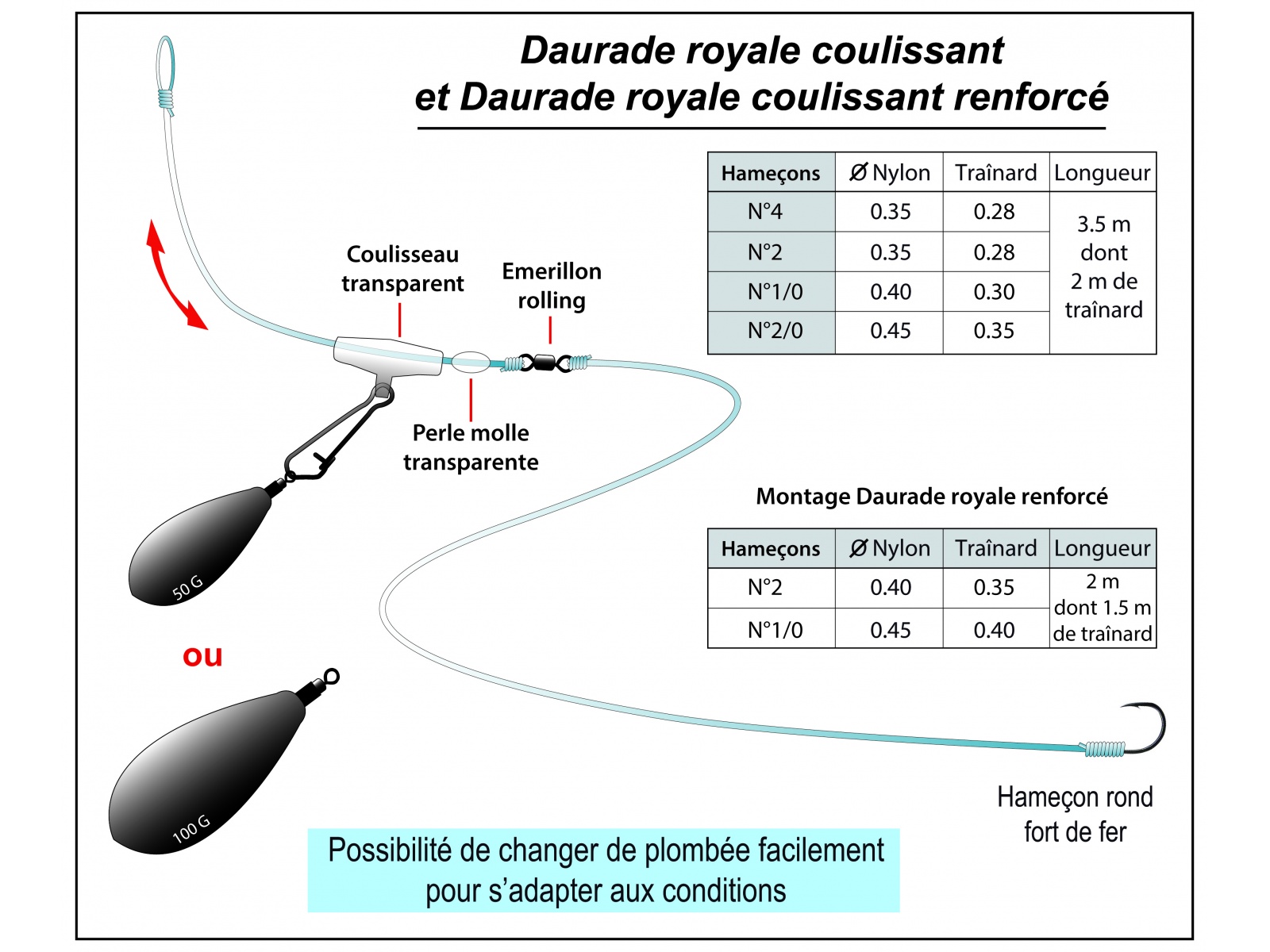 montage dorade grise
