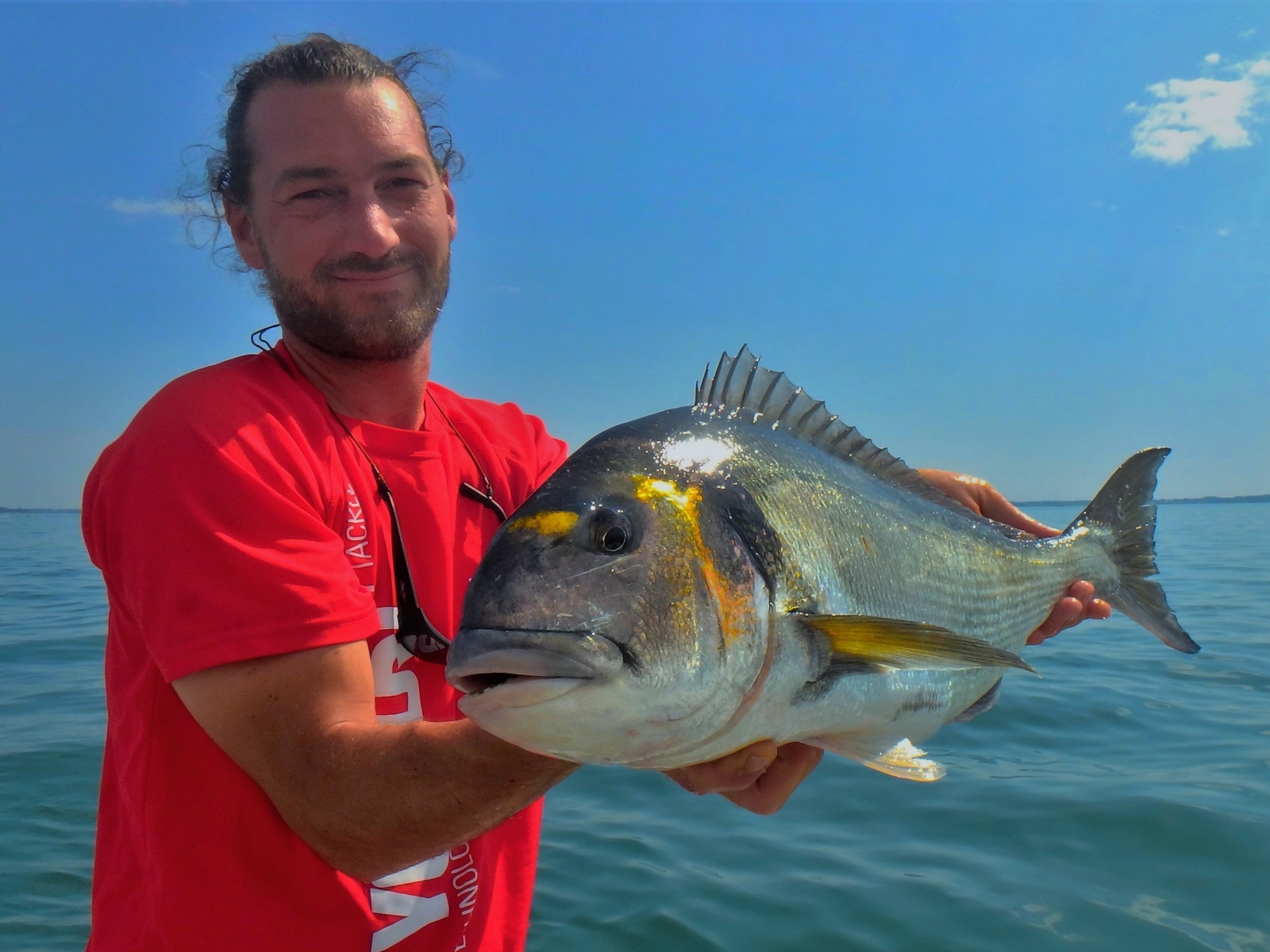 Les bas de ligne pour pêcher la dorade royale en bateau