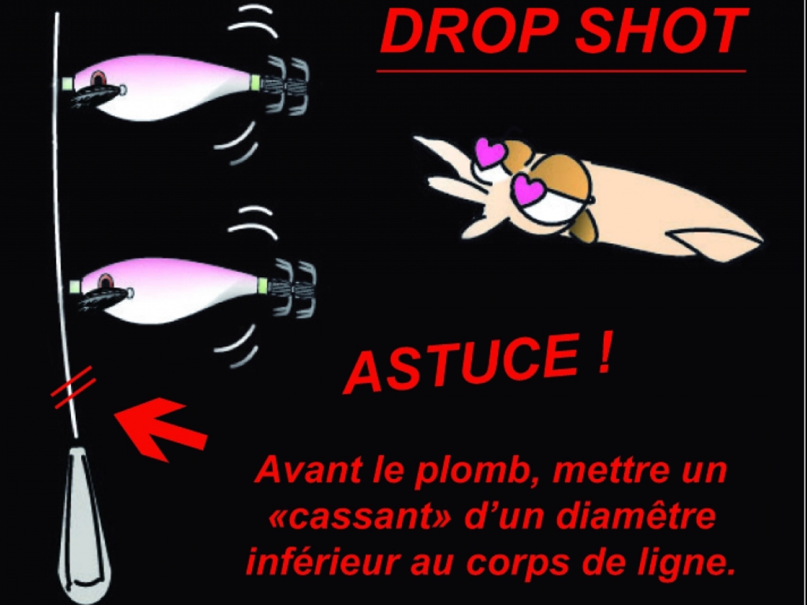 montage ligne seiche