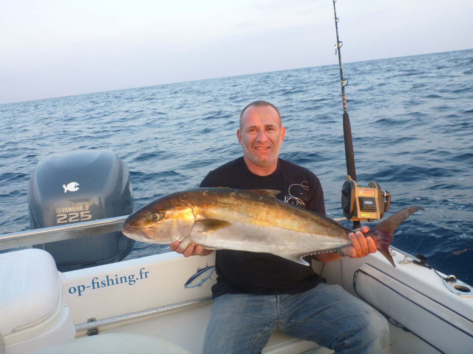 Sériole de 11kg pêchée a la traine avec un calamar vivant et un plomb d'1 kg