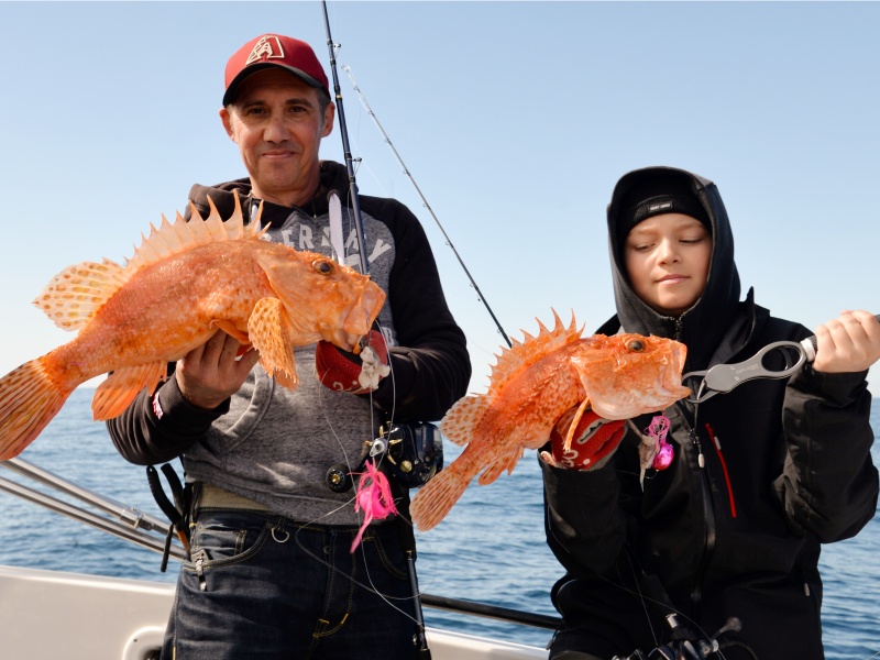 Doublé de beaux chapons en pêche profonde au moulinet électrique !