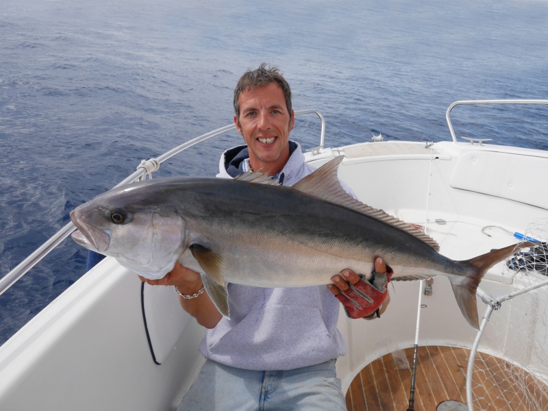 Magnifique sériole prise au downrigger par le moniteur guide de pêche Fabien Harbers !