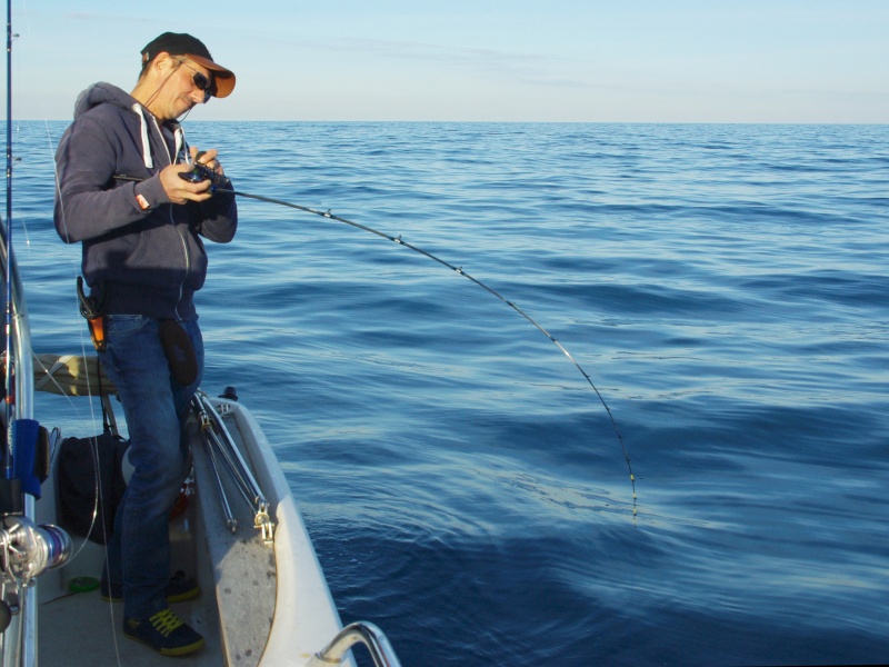 L’avantage de la pêche avec un teaser devant le leurre est que les touches sont bien plus nombreuses ! 