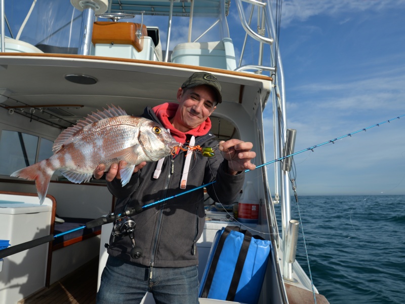 Magnifique pagre pris au madaï jig avec la Jig Light Italcanna ! Magnifique pagre pris au madaï jig avec la Jig Light Italcanna !