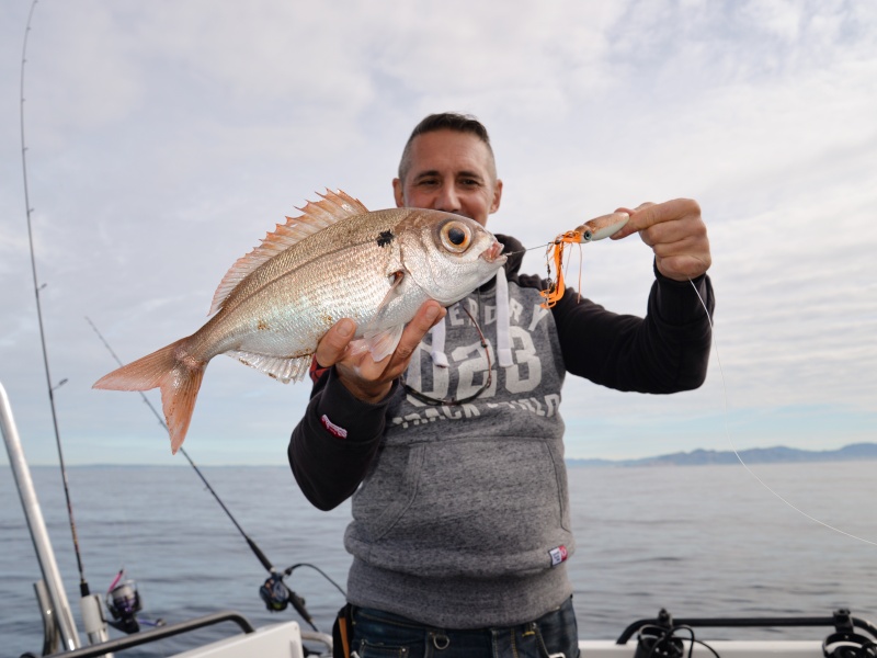 Cette dorade rose est la preuve que la phosphorescence hyper puissante du Squid Game Slider X-Paragon le rend très attractif en grandes profondeurs. Cette dorade rose est la preuve que la phosphorescence hyper puissante du Squid Game Slider X-Paragon le rend très attractif en grandes profondeurs.