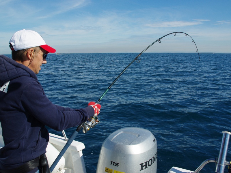 Sur les chasses, un jig minnow est une valeur sure ! Sur les chasses, un jig minnow est une valeur sure !