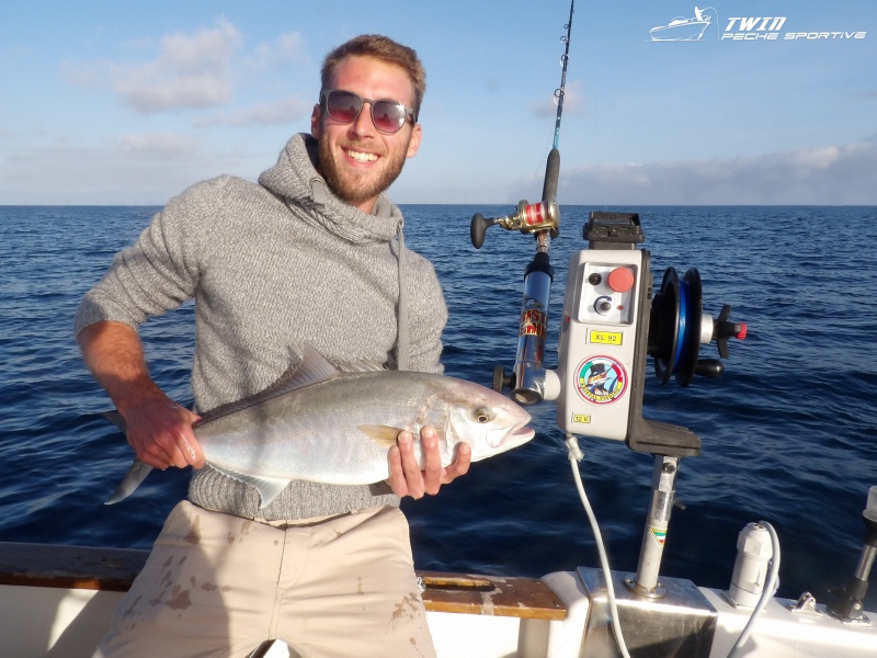 Sériole prise au downrigger avec le moulinet Deep Water Light High Speed WFT par un des stagiaires du guide Fabien Harbers