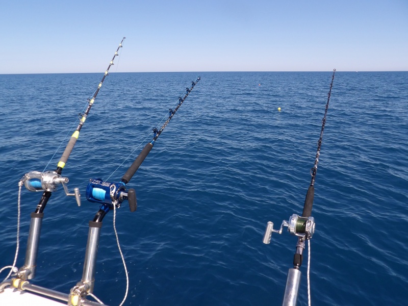 Les cannes en action de pêche au broumé