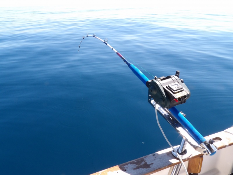 Très compact, le moulinet électrique XL 600 Kristal Fishing est idéal pour pêcher les dorades roses en grandes profondeurs
