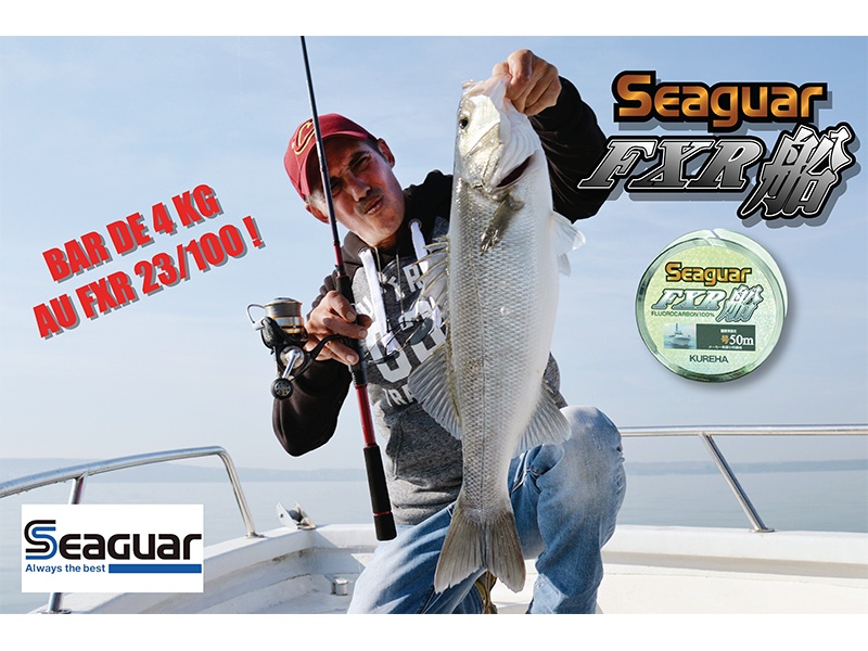 Bar de 4 kg pris en finesse avec du FXR SEAGUAR 23/100 !