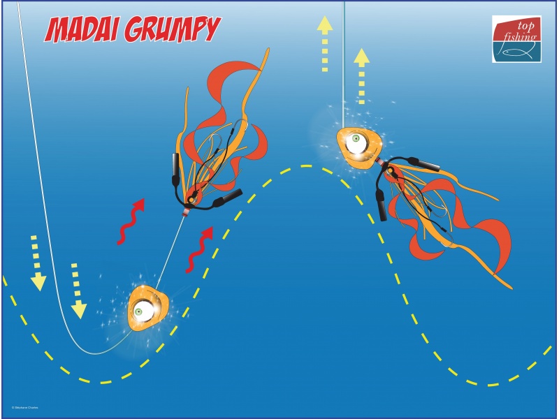 Le tête étant coulissante, la jupe s’éloigne de la tête, conférant au Grumpy une nage ultra naturelle Le tête étant coulissante, la jupe s’éloigne de la tête, conférant au Grumpy une nage ultra naturelle