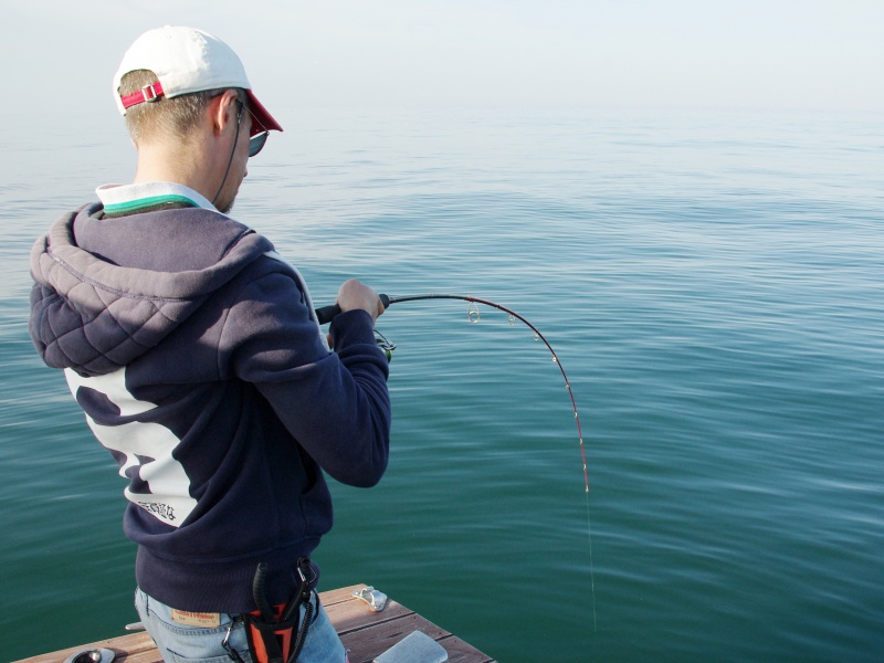 Gros combat avec une pélamide ayant mordu sur un Crystal 3D Minnow Yo-Zuri !