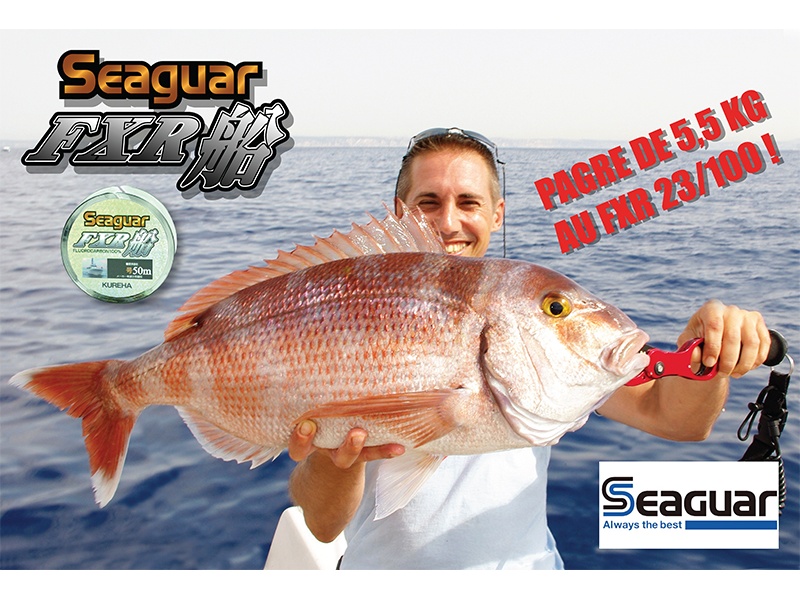 Pagre de 5,5 kg pris avec du FXR SEAGUAR 23/100 !