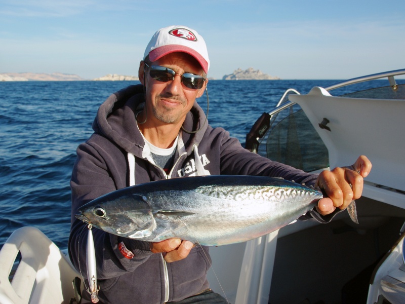 Bonite prise avec un Shoreline Shiner Z Vertice Daiwa Bonite prise avec un Shoreline Shiner Z Vertice Daiwa