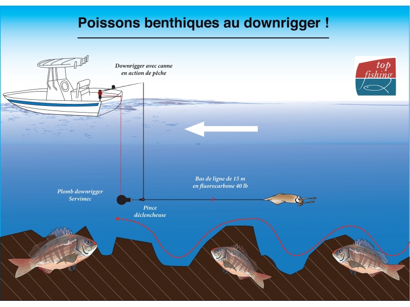 Traîne lente au downrigger spécial poissons benthiques Traîne lente au downrigger spécial poissons benthiques