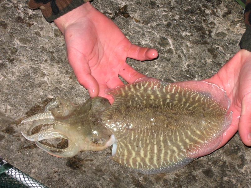 Une mini turlutte permet de pêcher efficacement avec des eaux très claires