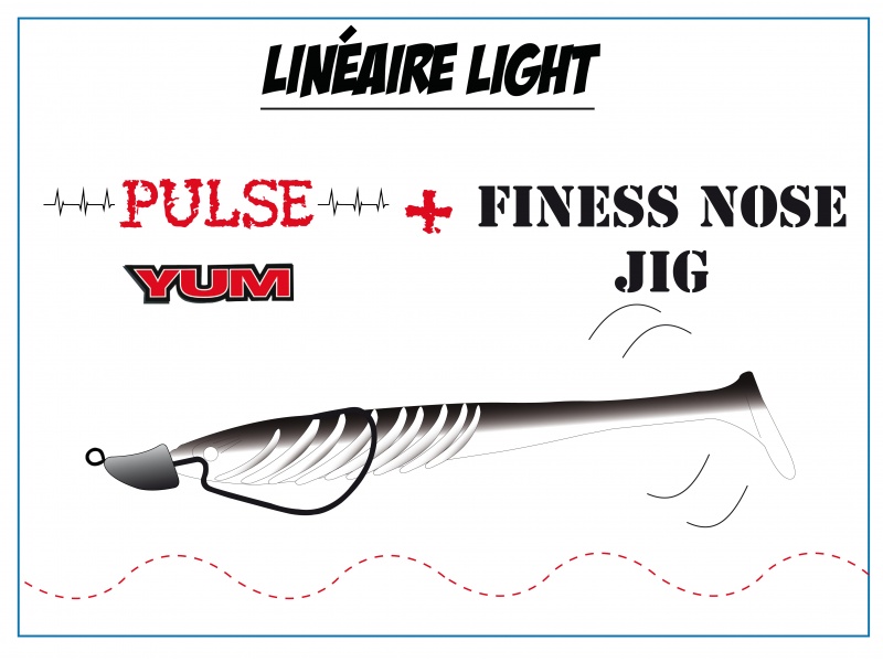 Un Pulse Yum monté sur un tête plombée texane Finess Nose Jig permet de pêcher efficacement en linéaire ! Un Pulse Yum monté sur un tête plombée texane Finess Nose Jig permet de pêcher efficacement en linéaire !