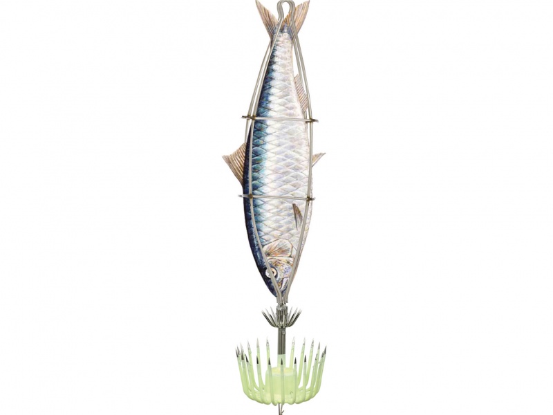 La turlutte cage plombée est conçue pour accueillir un poisson servant d’appât (ex : sardine) La turlutte cage plombée est conçue pour accueillir un poisson servant d’appât (ex : sardine)