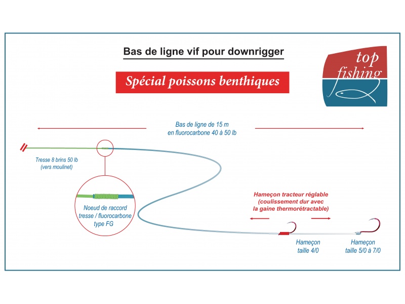 Bas de ligne vif avec montage « stewart » utilisé par Fabien Harbers pour la pêche en traîne lente des poissons benthiques au downrigger Bas de ligne vif avec montage « stewart » utilisé par Fabien Harbers pour la pêche en traîne lente des poissons benthiques au downrigger