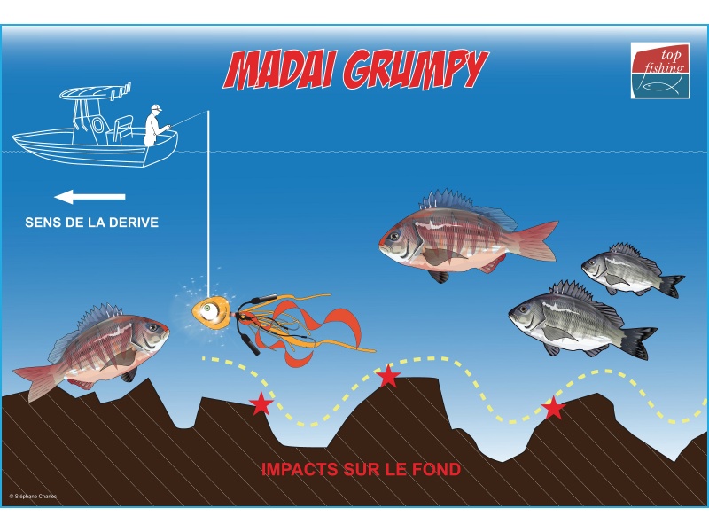 Animation du Grumpy au ras du fond Animation du Grumpy au ras du fond
