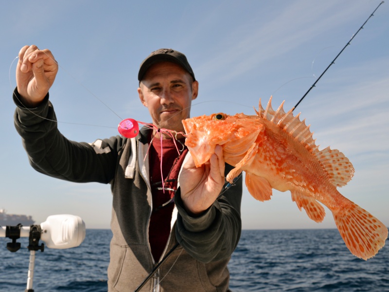 Le Khoga Daiwa est très efficace ! Le Khoga Daiwa est très efficace !