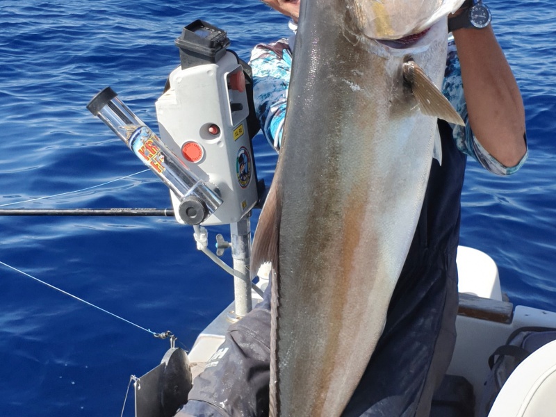 Le moniteur guide de pêche Fabien Harbers avec une sériole record prise au downrigger Le moniteur guide de pêche Fabien Harbers avec une sériole record prise au downrigger