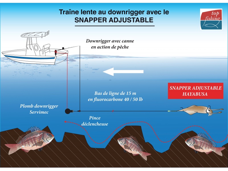 Le montage Snapper Adjustable Hayabusa est idéal pour la pêche du denti au downrigger !